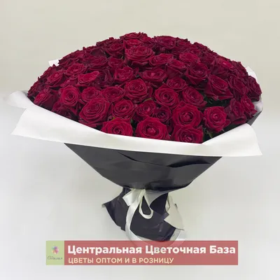 Ошеломляющее изображение алой розы в формате png