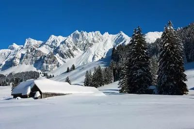 Величественные Альпийские горы на красочных фотографиях