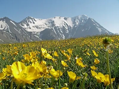 Фотографии альпийских гор: красота, впечатляющая каждый пиксель