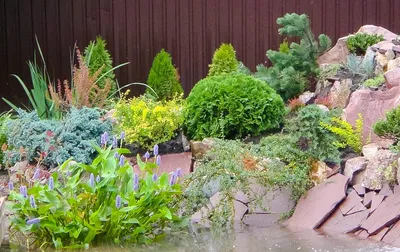 Фото альпийских горок с водопадом в высоком разрешении: скачайте бесплатно в HD качестве