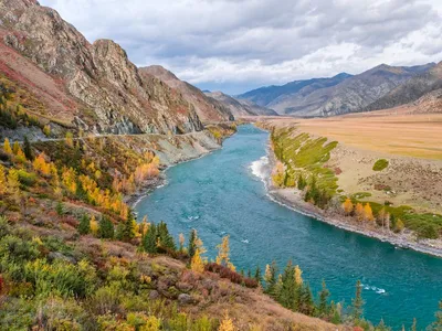 Величественная красота Алтайской реки Катунь