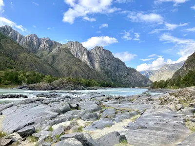 Откройте для себя великолепие Алтайской реки Катунь через фотографии