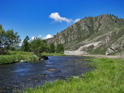 Откройте для себя красоту реки Катунь через фотографии