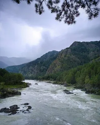 Фотографии природы Алтай реки катунь