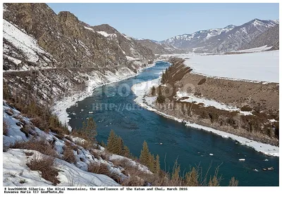 Красивые фотки Алтай реки катунь