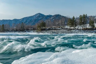 Алтайские зимние пейзажи: Скачивайте красивые фото