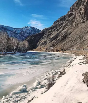 Зимние краски Алтая: Изысканные фотографии