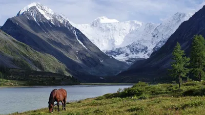 Фото Алтайских гор - выберите свой размер и скачайте в формате JPG, PNG, WebP