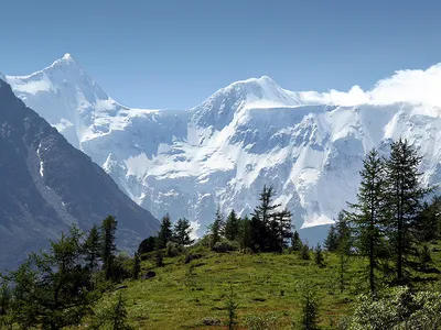 Прекрасные фото Алтайских гор - выбирайте свою любимую картинку