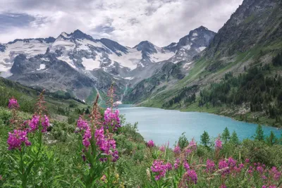 Завораживающие пейзажи Алтайских гор на фото пленят сердца