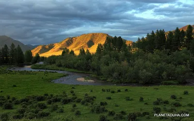 Загадочная красота Алтайских гор, воплощенная на фото