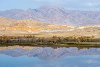 Уникальные фотографии Алтайских гор в 4K – скачать бесплатно