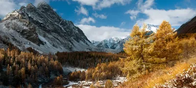 Потрясающие фотографии гор Алтайского края в хорошем качестве