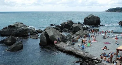 Фотографии Алупки пляжа лягушка: природа во всей своей красе