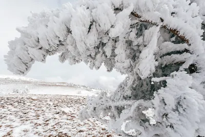 Зимние чудеса Алушты на фото: картинки в различных форматах ждут вас!
