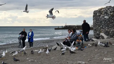 Зимние пейзажи Алушты: скачивайте фотографии в формате, который вам нравится!