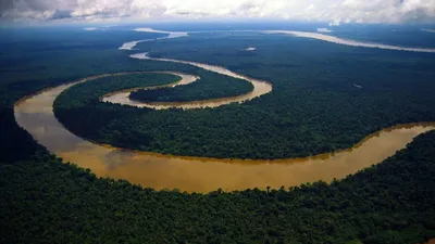 Амазонка река  фото