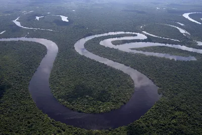 Волшебная атмосфера Амазонки: фотографии, которые погружают в сказку