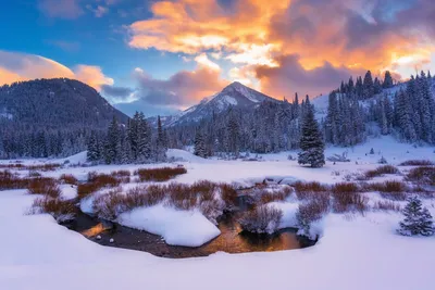 Фотографии зимних красот Америки: Великолепные пейзажи в WebP