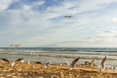 Фото пляжа Анапы в формате 4K для скачивания
