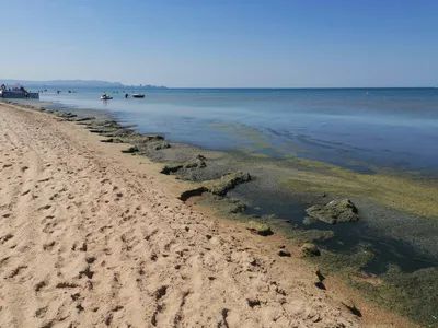 Природные чудеса Анапы Витязево пляжа