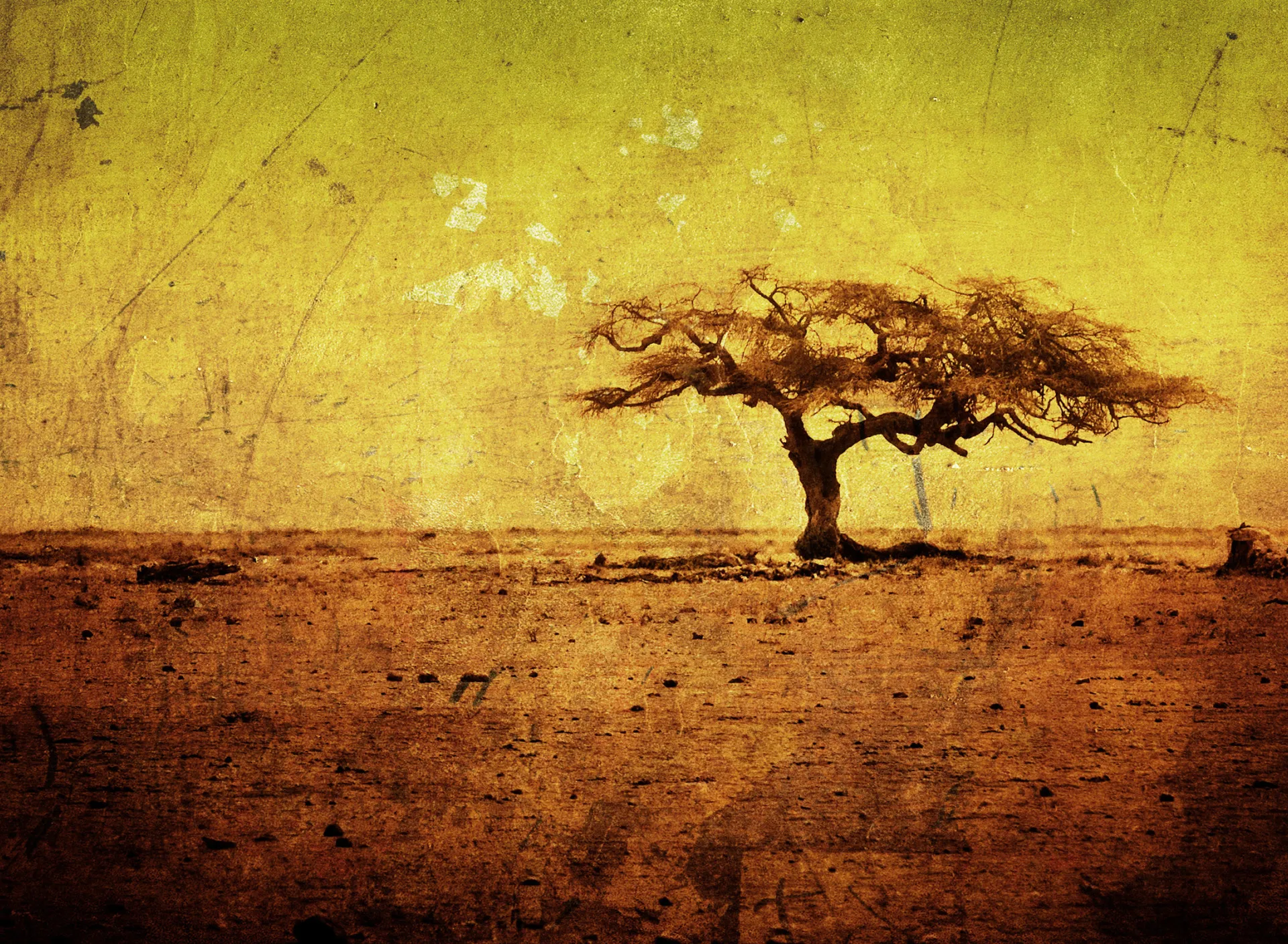 Древо яда у пушкина. Анчар дерево. Абстракция природа. Картины с африканскими деревьями. Фон дерево.