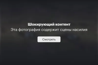 Картинка Андрея Лёвина: выберите формат WebP для быстрой загрузки