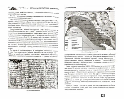 Изображение Андрея Склярова с наградами