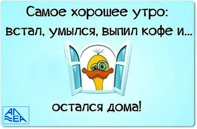 Зарядись позитивом: анекдот про доброе утро с фото