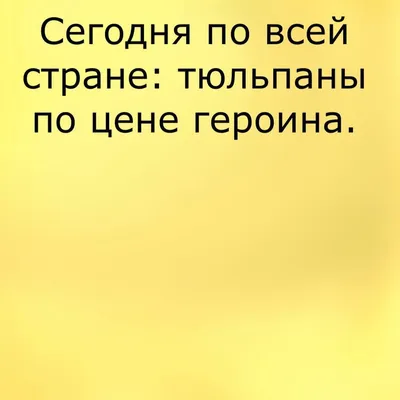 Анекдоты на 8 марта в картинках: новые изображения для вашего праздника