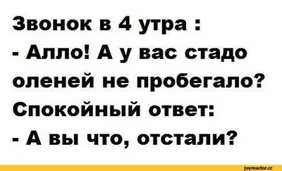 Анекдоты про утро в картинках: улыбнитесь с утра!