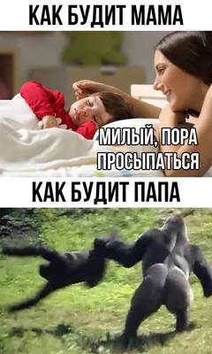 Смешные фотоанекдоты про утро