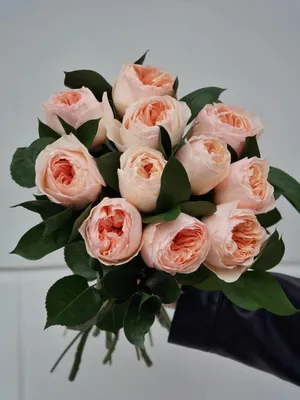 Изысканные кустовые розы на фото: выберите формат для скачивания
