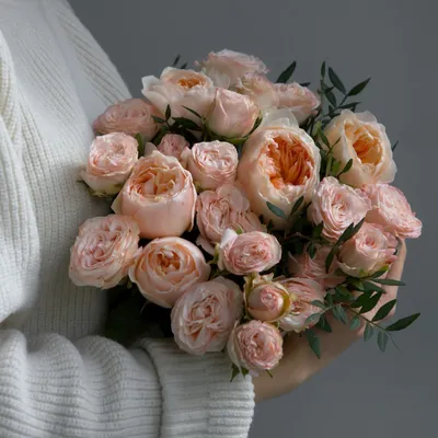 Фотографии английских кустовых роз: доступны разные форматы