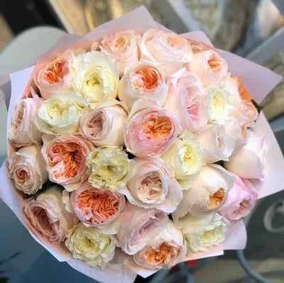 Фото английских кустовых роз для бесплатного скачивания