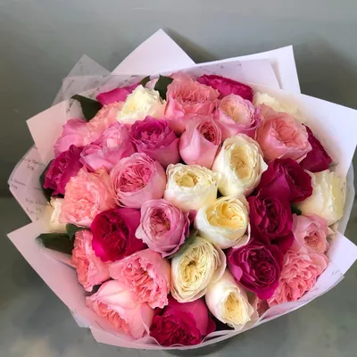 Красочные кустовые розы на фото: доступны разные форматы