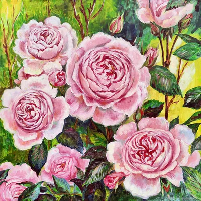 Привлекательная фотография английских роз в саду - формат jpg, размер XL