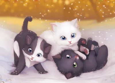 Красочные аниме котики на картинке PNG