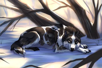 Аниме волки: Изображение 23 в формате PNG
