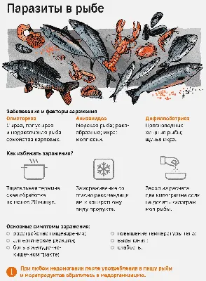 Анизакидоз рыб: фотография рыбы размером M, формат jpg