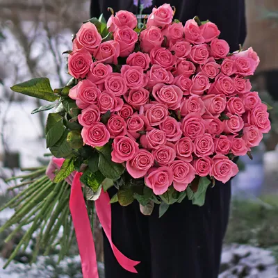 Уникальная фотография Анны Карины розы