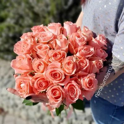 Изысканное изображение розы Анны Карины: выбирайте формат