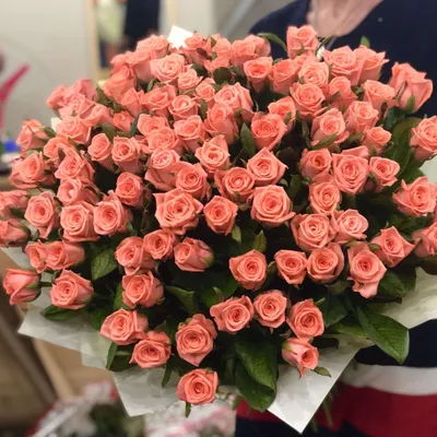 Изображение розы Анны Карины в популярном формате jpg
