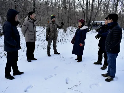 Чарующая картинка Анны Сердюк в JPG