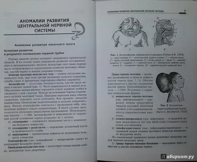 Фотографический обзор разнообразия: аномалии человеческого тела