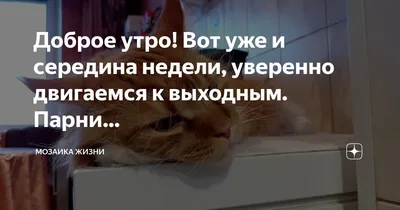 Утренние изображения для вдохновения и успеха