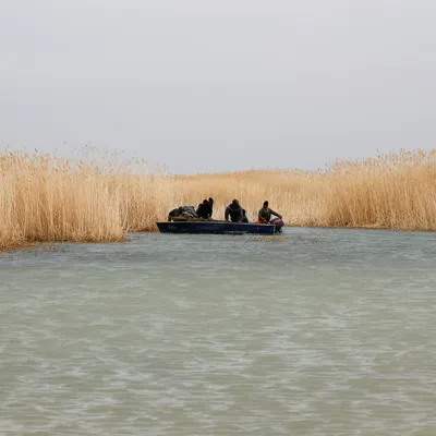 Бесплатные обои с изображением Аральского моря