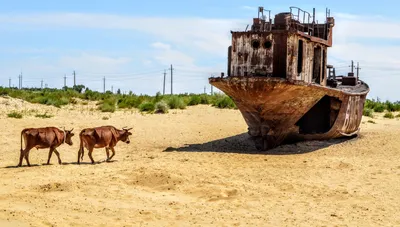 Красивые фотографии Аральского моря на все экраны