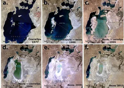 Полезная информация об Аральском море с фото