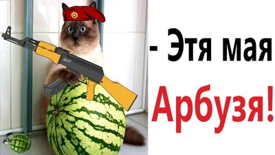 Новые смешные фото арбузов, которые заставят вас посмеяться!